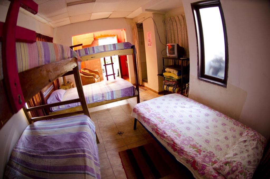 Hostal Los Aventureros Santa Cruz de La Sierra Oda fotoğraf